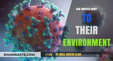 How Viruses Evolve and Adapt to Changing Environments: A Deep Dive
