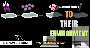 Do Viruses Sense and React to Environmental Changes Around Them?