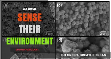 Can Viruses Sense Their Surroundings? Unveiling Environmental Awareness in Viruses