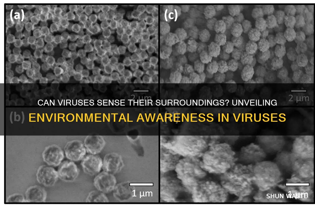 can viruses sense their environment