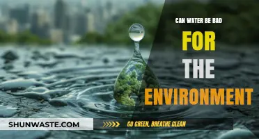 Is Water Harming Our Environment? Surprising Impacts Revealed