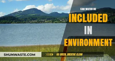 Water's Role in Shaping Our Environment: A Vital Connection