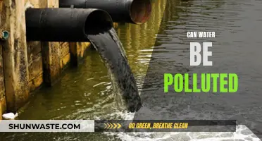 Water Pollution: Can Our Water Be Polluted?