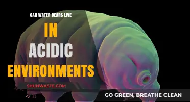 Water Bears' Survival in Acidic Environments: Unraveling Their Resilience