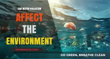 Water Pollution's Devastating Impact on Ecosystems and Environmental Health
