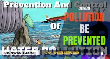 Water Pollution: Preventable Crisis?