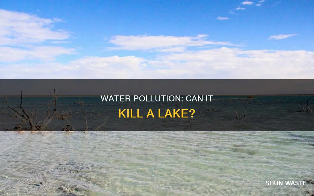 can water pollution cause a lake to be biologically dead