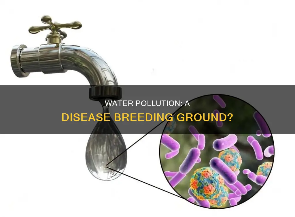 can water pollution cause diseases