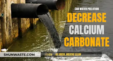 Water Pollution's Impact: Decreasing Calcium Carbonate Levels