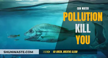 Water Pollution: A Deadly Threat to Human Health