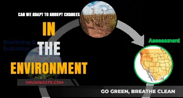 Adapting to Environmental Shifts: Strategies for Sudden Ecological Changes