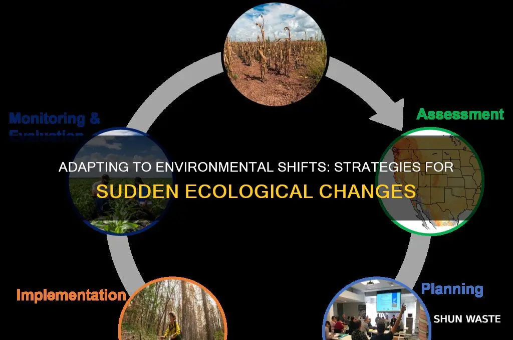 can we adapt to abrupt changes in the environment