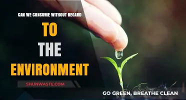 Sustainable Consumption: Balancing Our Needs with Environmental Responsibility