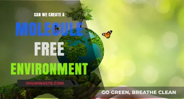 Creating Molecule-Free Spaces: Possibilities, Challenges, and Future Innovations