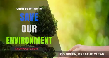 Saving Our Planet: Actionable Steps to Protect the Environment