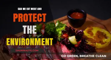 Sustainable Meat Consumption: Balancing Diet and Environmental Preservation