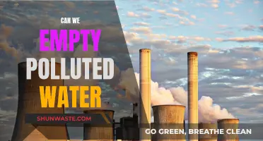 Purifying Polluted Water: Is Complete Depollution Possible?