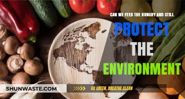 Sustainable Solutions: Balancing Food Security and Environmental Conservation