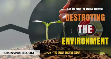 Sustainable Agriculture: Balancing Global Food Needs with Environmental Preservation