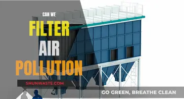 Filtering Air Pollution: Innovative Solutions for Cleaner Air