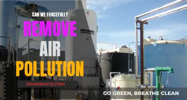 Eradicating Air Pollution: Can We Force a Change?