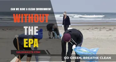 Clean Environment Without EPA: Is It a Feasible Reality?