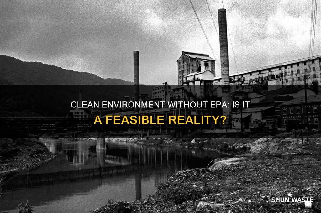 can we have a clean environment without the epa