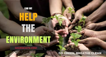 Sustainable Steps: How We Can Actively Protect Our Environment Today