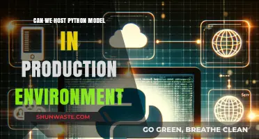 Hosting Python Models in Production: Challenges, Best Practices, and Solutions