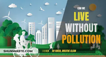 Living Pollution-Free: Is It Possible?