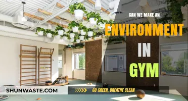Creating Eco-Friendly Gym Spaces: Sustainable Fitness Environment Possibilities