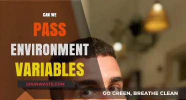 Passing Environment Variables: Best Practices and Common Pitfalls Explained