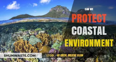 Safeguarding Coastal Ecosystems: Strategies to Protect Fragile Shorelines