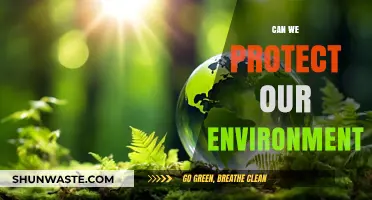 Sustainable Steps: How We Can Protect Our Environment Today