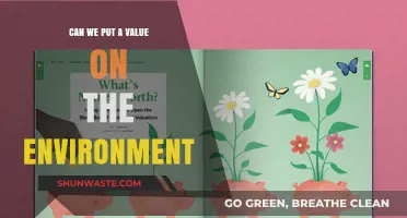 Valuing Nature: Can We Quantify the Environment's True Worth?