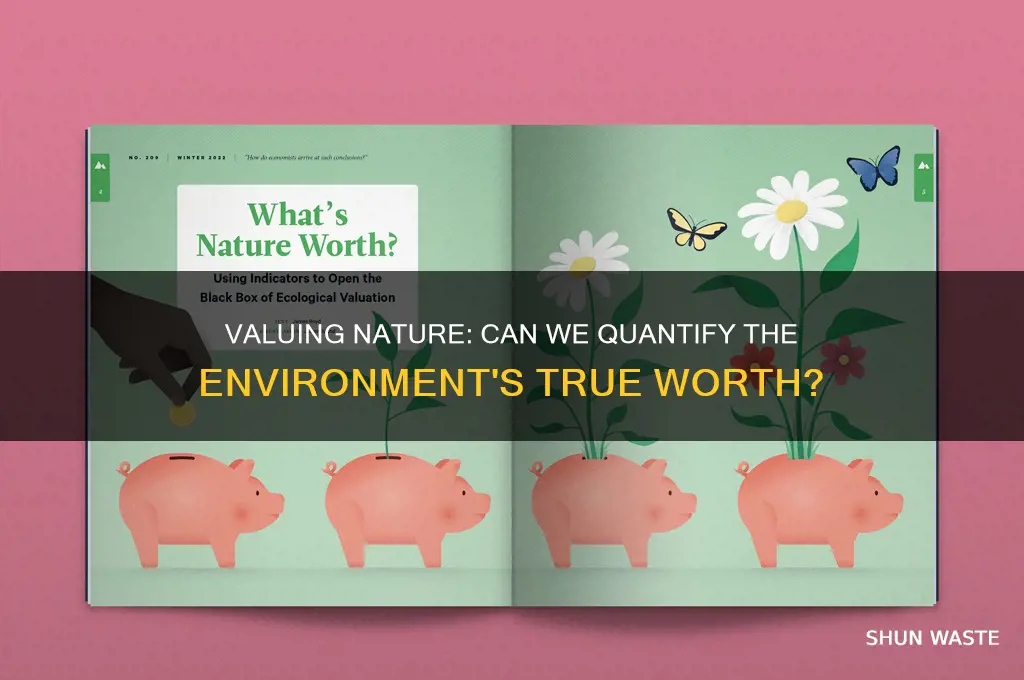 can we put a value on the environment