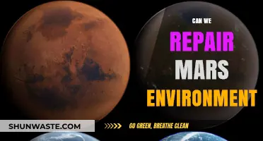 Restoring Mars: Possibilities and Challenges of Reviving Its Environment