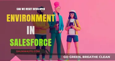 Resetting Salesforce Developer Environment: A Comprehensive Guide for Developers