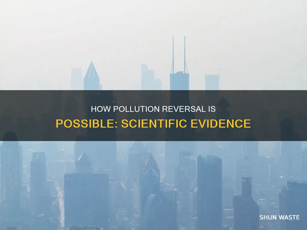 can we reverse pollution peer reviewed articles