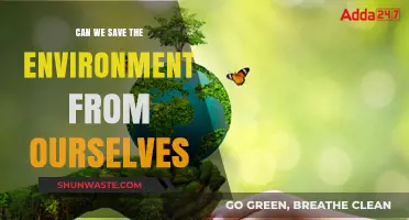 Saving Our Planet: Can Humanity Reverse Its Environmental Impact?