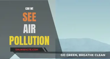 Air Pollution: Can We See the Invisible?