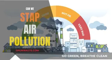 Stemming Air Pollution: Possible Solutions and Strategies