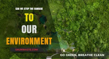 Can We Reverse Environmental Damage? Urgent Actions for a Sustainable Future