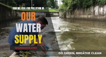 Testing Water Pollution: What's in Your Supply?