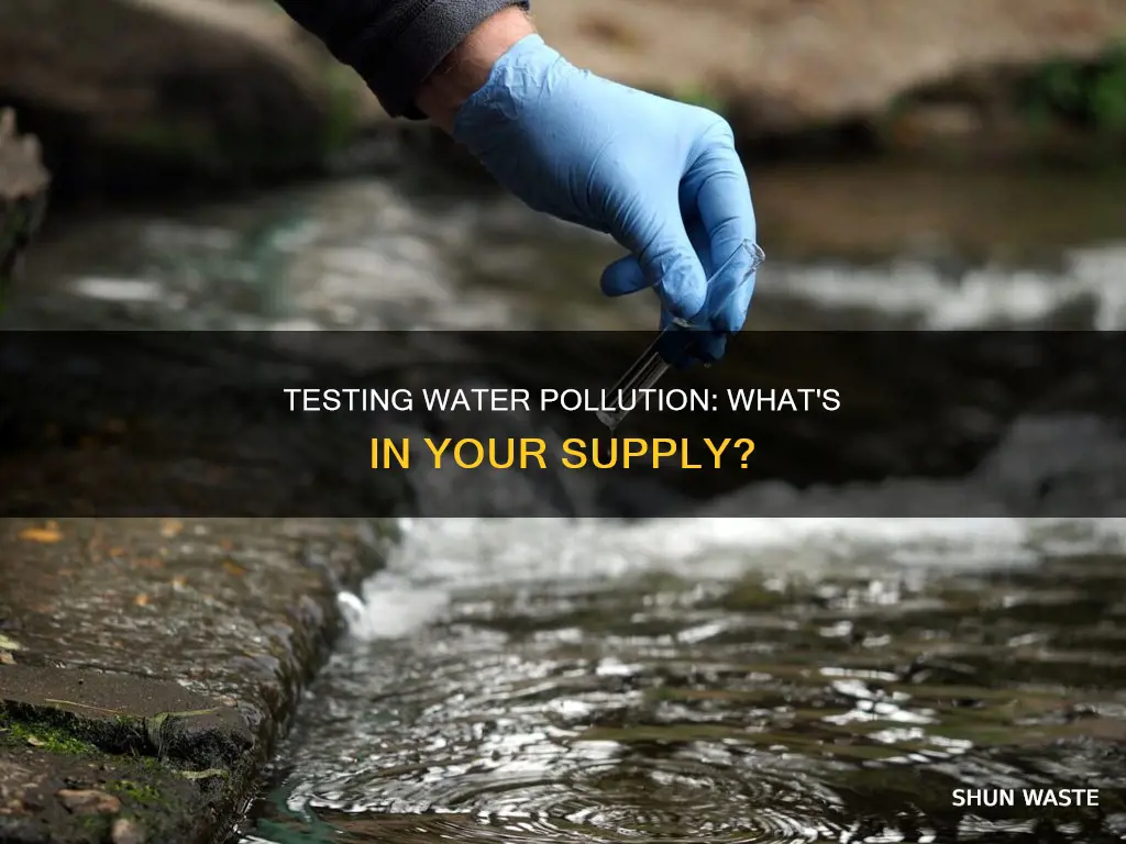 can we test for pollution in our water supply