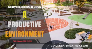 Activating Functional Areas in Productive Environments: Best Practices and Risks