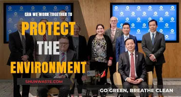 Uniting for a Greener Future: Collaborative Efforts to Protect Our Environment