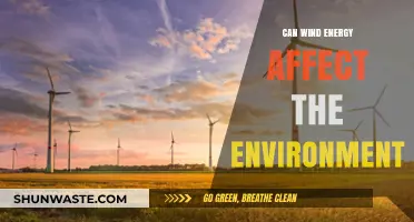 Wind Energy's Environmental Impact: Benefits, Challenges, and Sustainability Insights