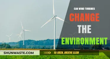 Wind Turbines' Environmental Impact: Transforming Landscapes and Ecosystems