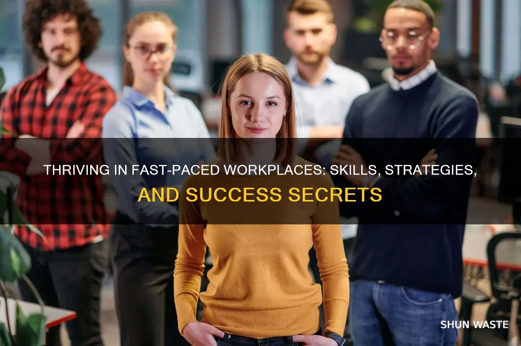 can work in fast paced environment